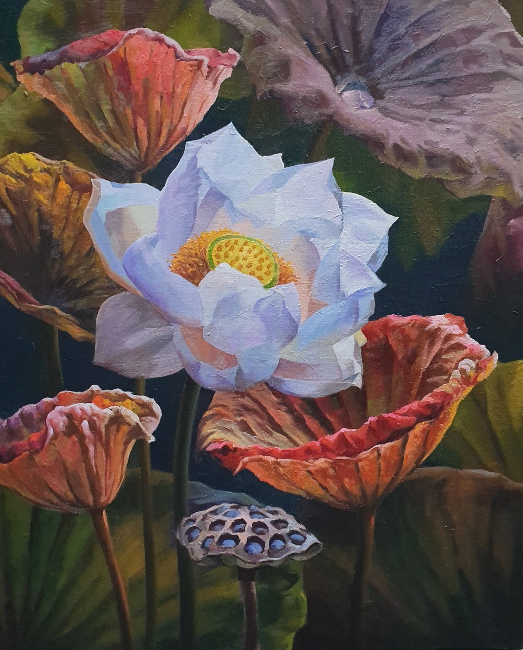 c4a5205a940c20e8810ad3d9d4f55c0b_1772779646_8908.jpg c4a5205a940c20e8810ad3d9d4f55c0b_1772779646_8908.jpg