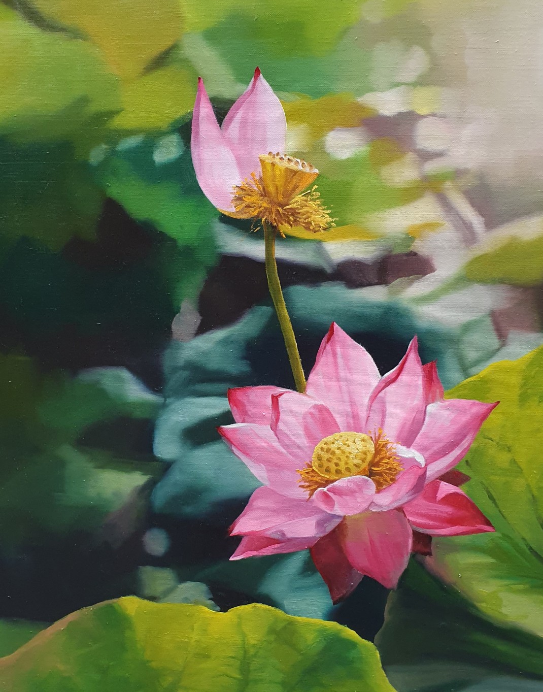 c4a5205a940c20e8810ad3d9d4f55c0b_1772779647_0874.jpg c4a5205a940c20e8810ad3d9d4f55c0b_1772779647_0874.jpg