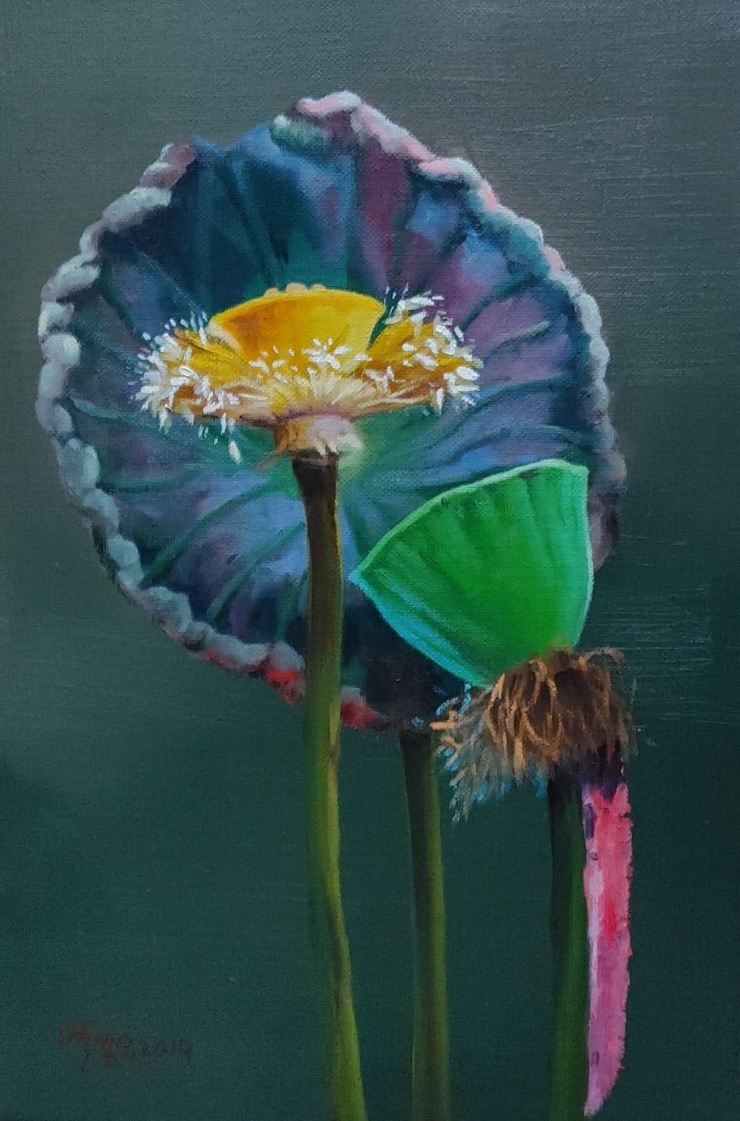 c4a5205a940c20e8810ad3d9d4f55c0b_1772779647_2746.jpg c4a5205a940c20e8810ad3d9d4f55c0b_1772779647_2746.jpg