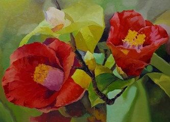 동백(camellia flower)